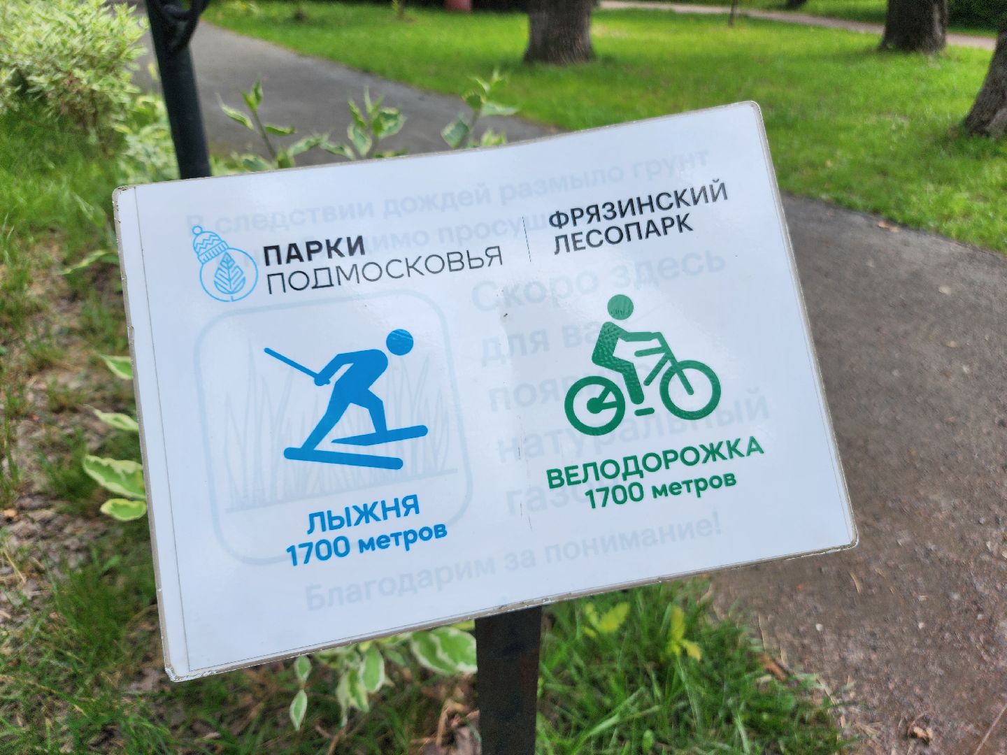 фрязино, велопрокат, лесопарк, велосипед, лето в парках,