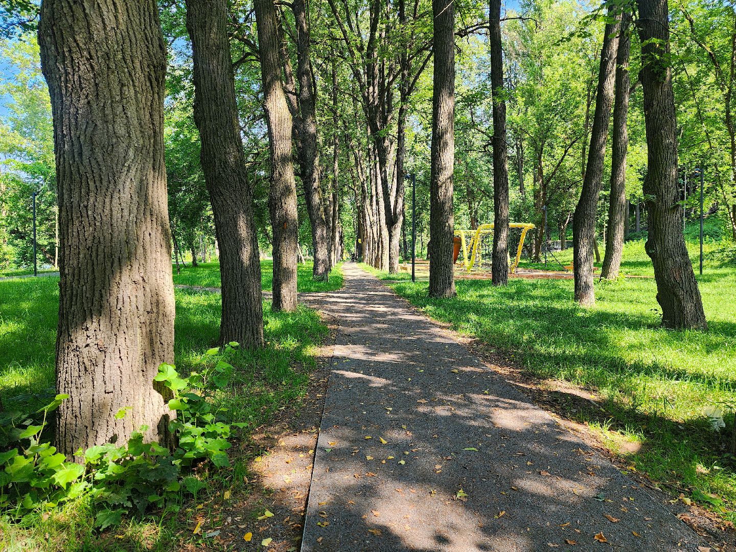 Подольск, Парк Талалихина, Пляж, отдых у воды,