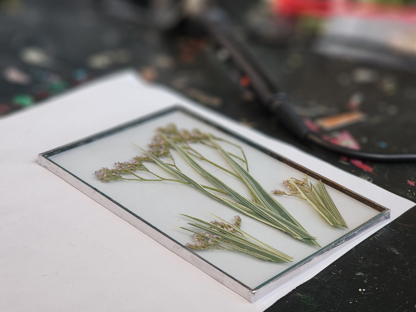 Черноголовка, мастер-класс, Гербарии в стекле,