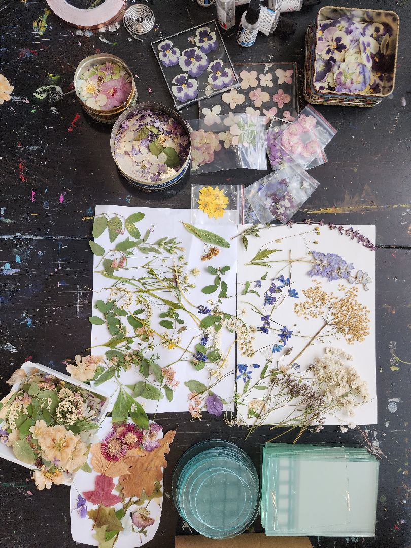 Черноголовка, мастер-класс, Гербарии в стекле,