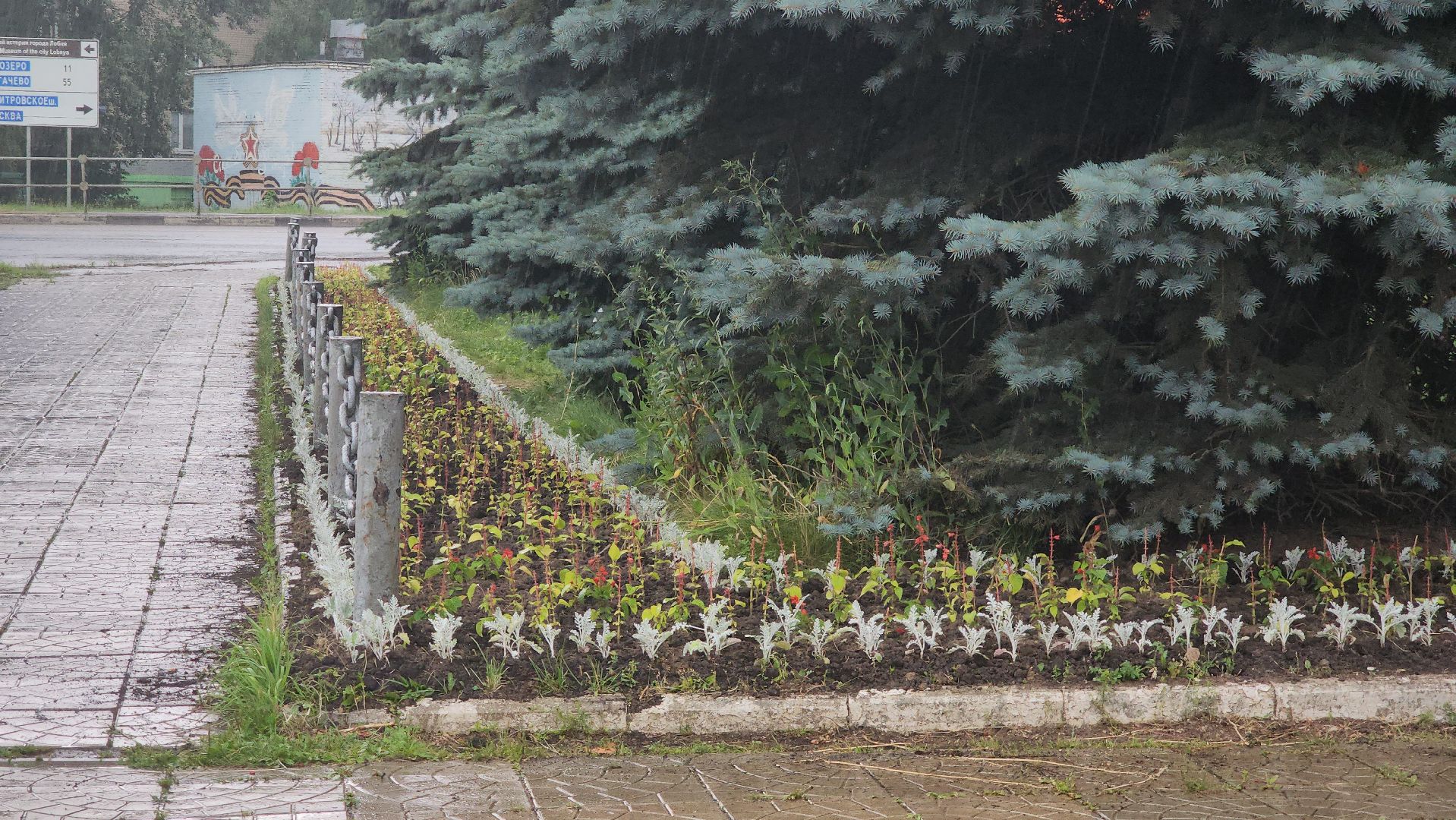 Озеленение , Высадка растений , однолетние цветы, Мемориал , Лобня,