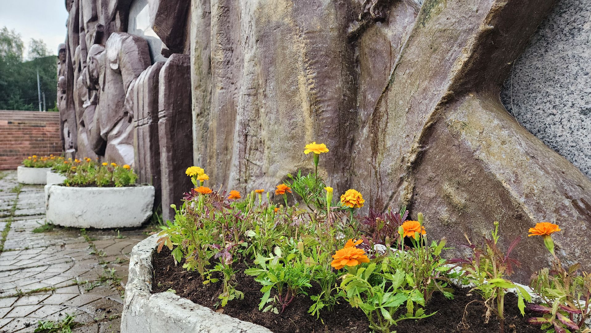 Озеленение , Высадка растений , однолетние цветы, Мемориал , Лобня,