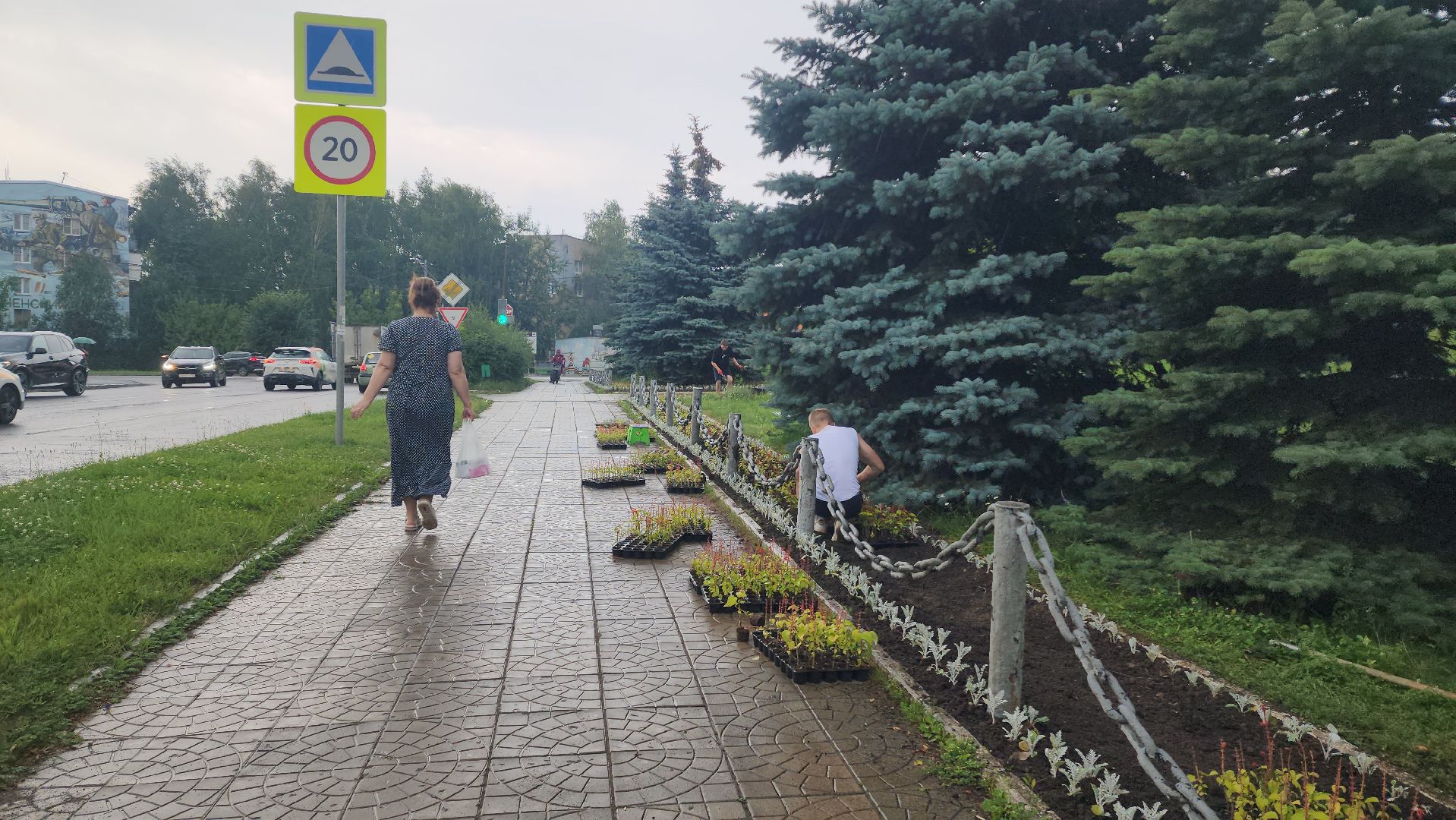 Озеленение , Высадка растений , однолетние цветы, Мемориал , Лобня,