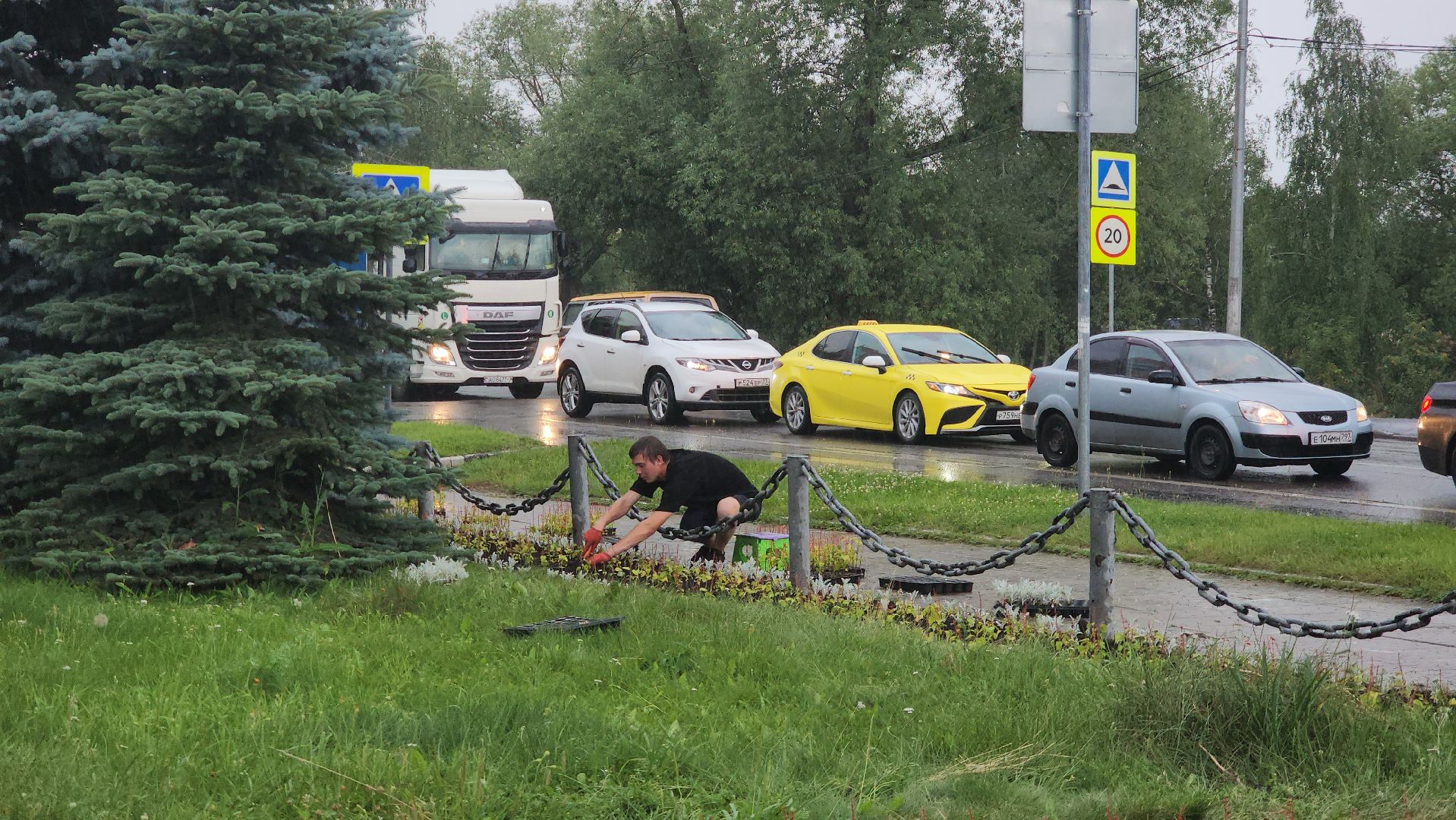 Озеленение , Высадка растений , однолетние цветы, Мемориал , Лобня,