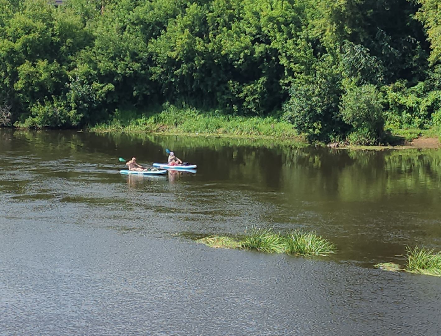 летний досуг, орехово-зуевский округ,