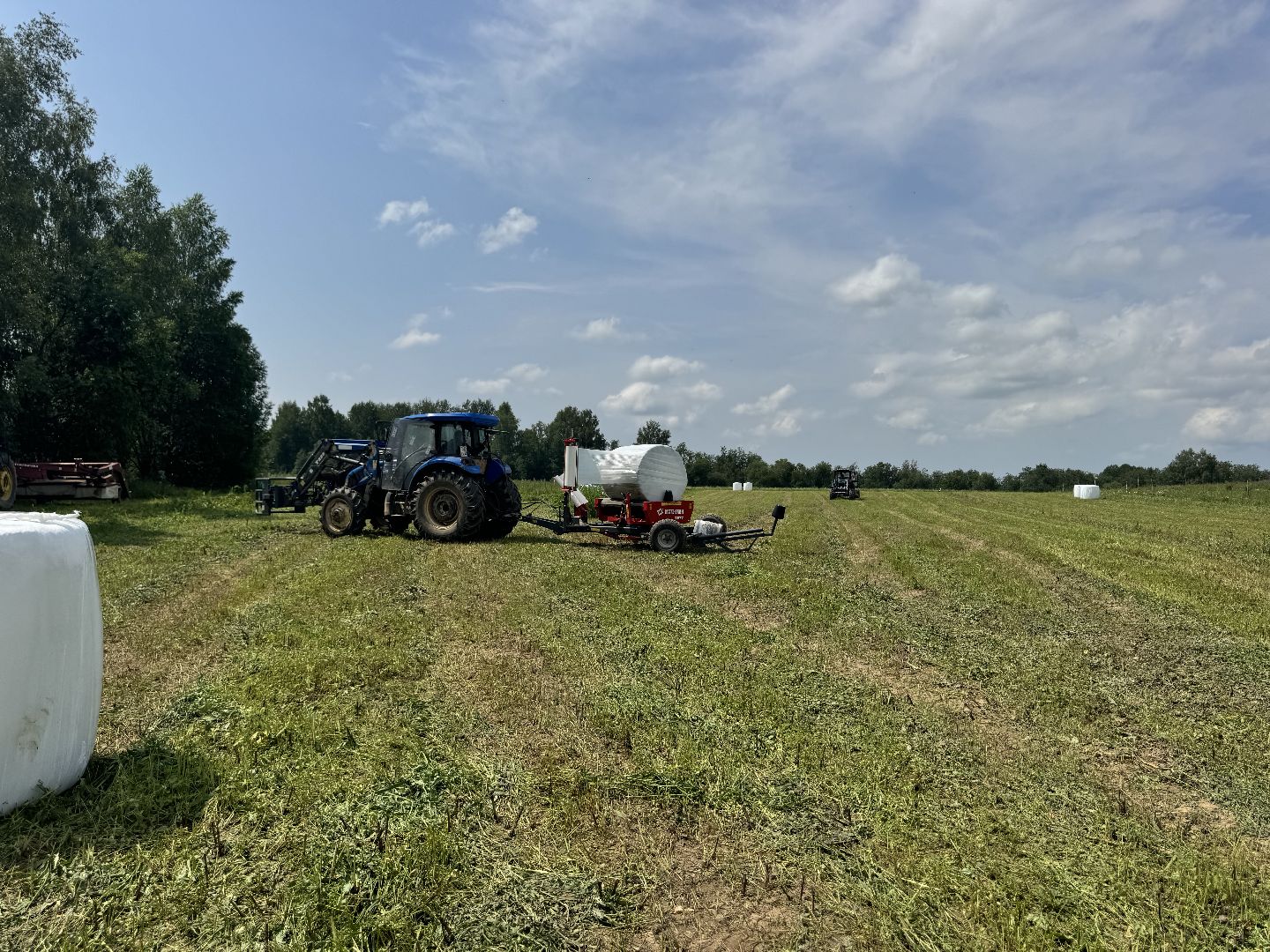 шаховская, сенаж, сельское хозяйство, уборка сена,