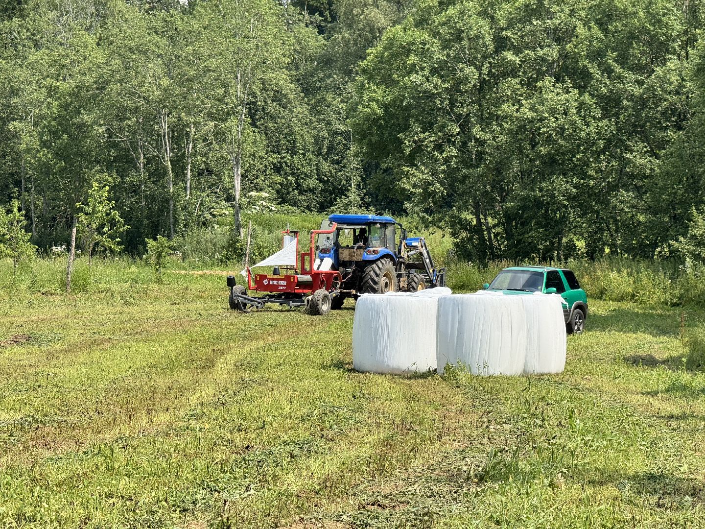 шаховская, сенаж, сельское хозяйство, уборка сена,