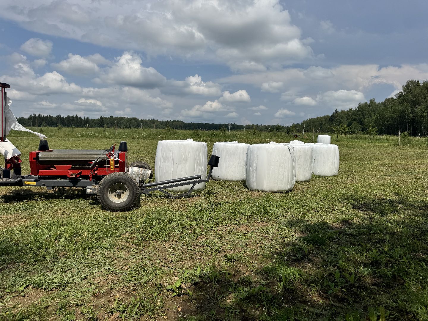 шаховская, сенаж, сельское хозяйство, уборка сена,