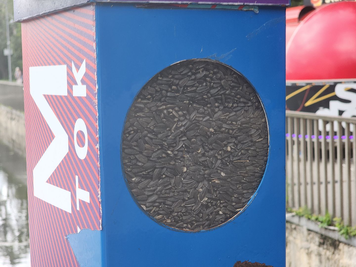 королёв, пруд в микрорайоне Юбилейный, полезное питание для уток,