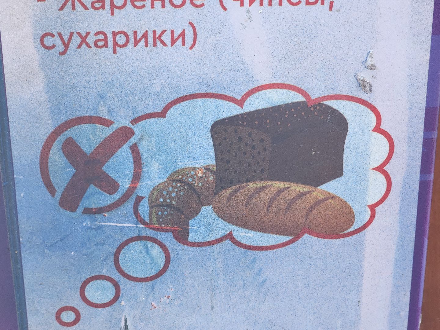 королёв, пруд в микрорайоне Юбилейный, полезное питание для уток,