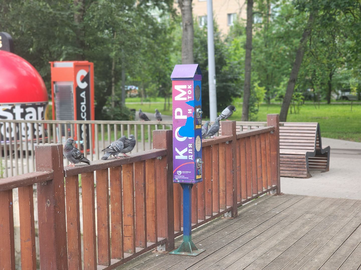 королёв, пруд в микрорайоне Юбилейный, полезное питание для уток,