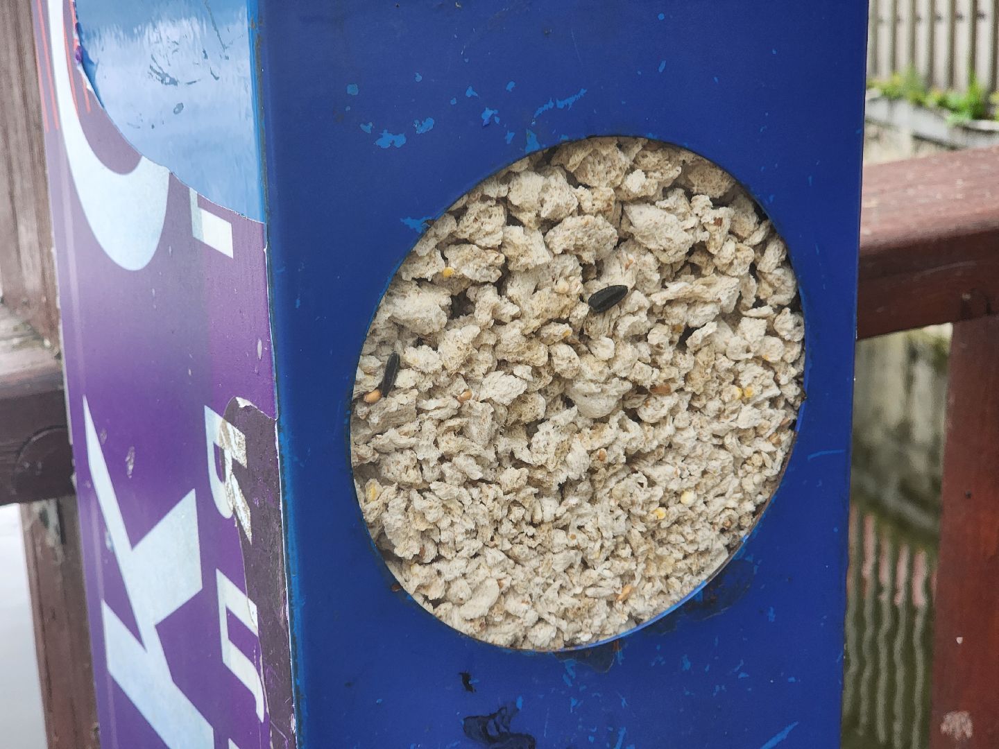 королёв, пруд в микрорайоне Юбилейный, полезное питание для уток,