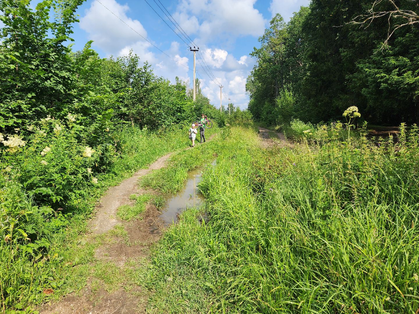 красноармейск, городской округ пушкинский, каникулы с пользой, велопрогулка, поход,