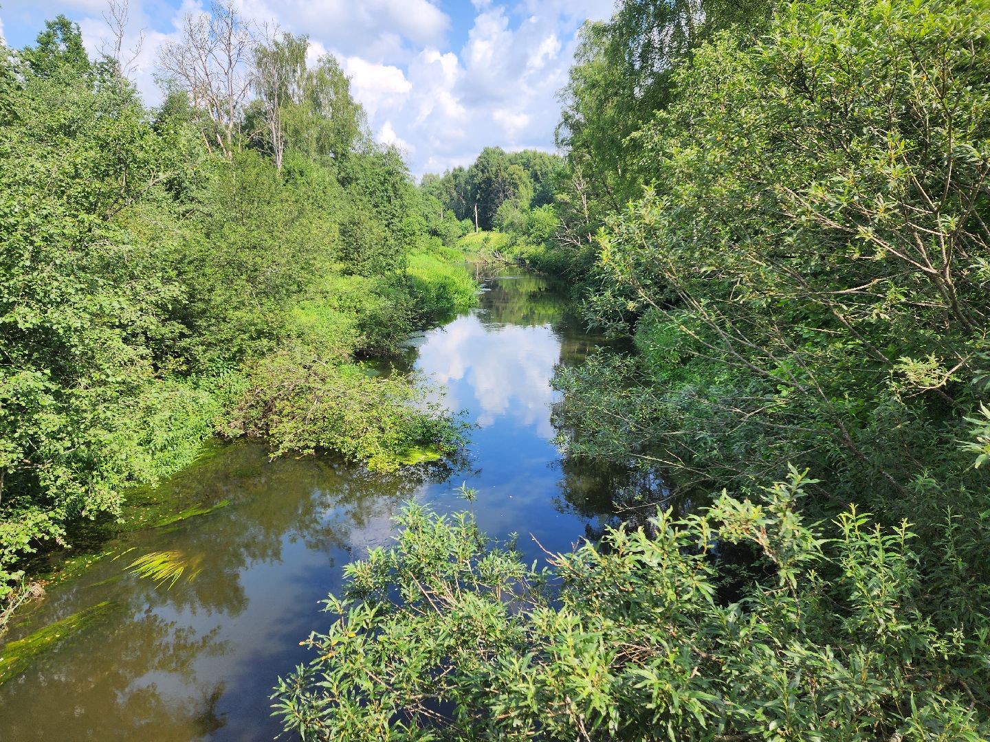 красноармейск, городской округ пушкинский, каникулы с пользой, велопрогулка, поход,