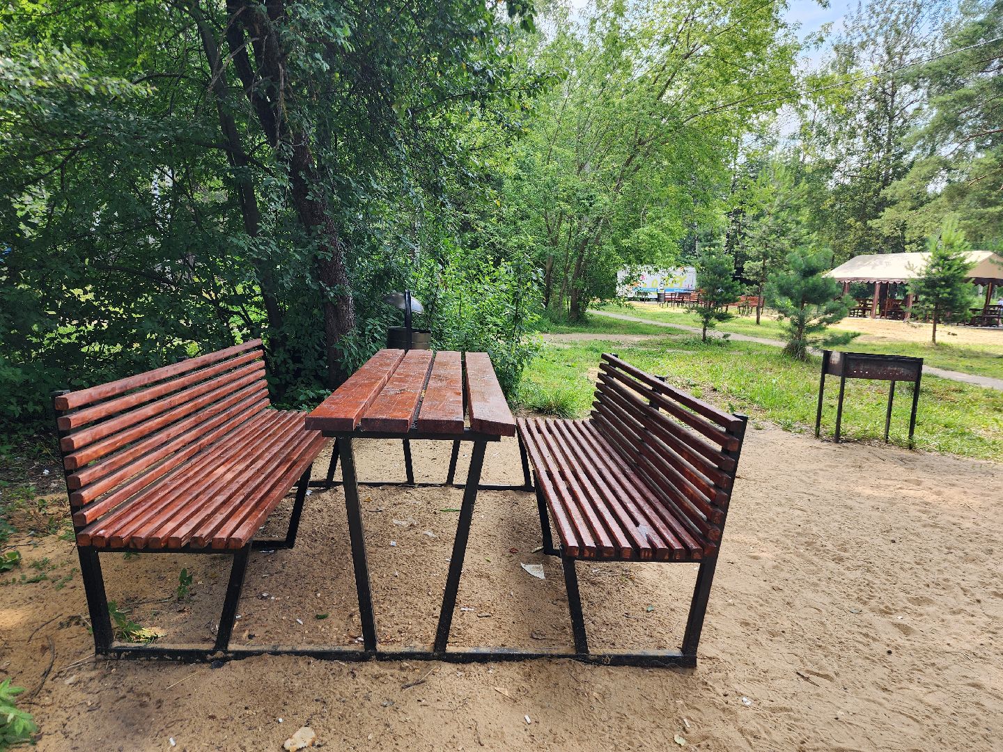 фрязино, пляжный отдых, мангальная зона, лето в подмосковье, озеро,