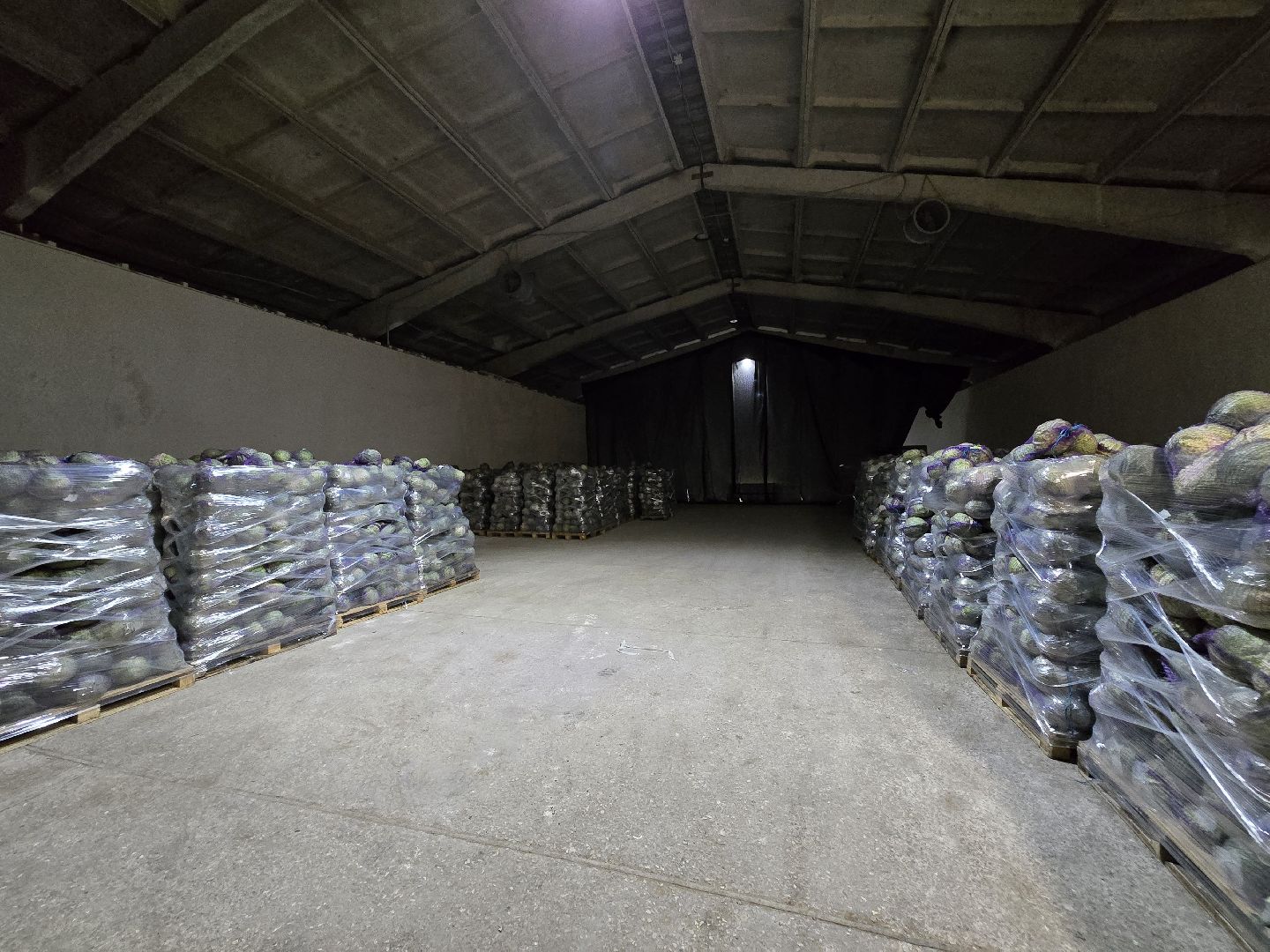 Коломна, сельское хозяйство, овощехранилище,