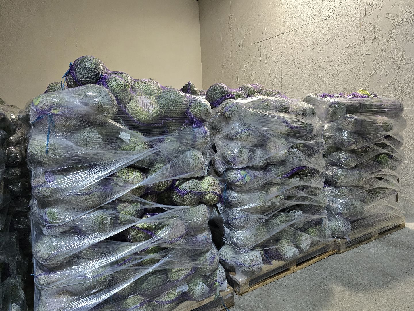 Коломна, сельское хозяйство, овощехранилище,