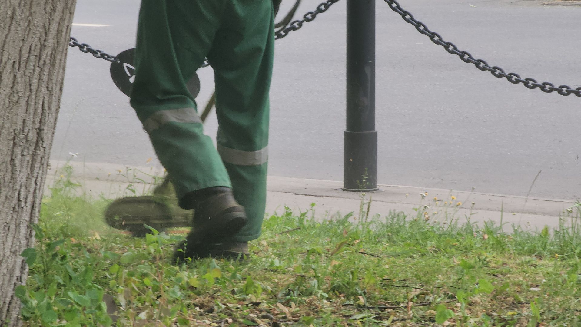 долгопрудный, дирижабельная улица, смет мусора, покос травы, мбу благоустройство,