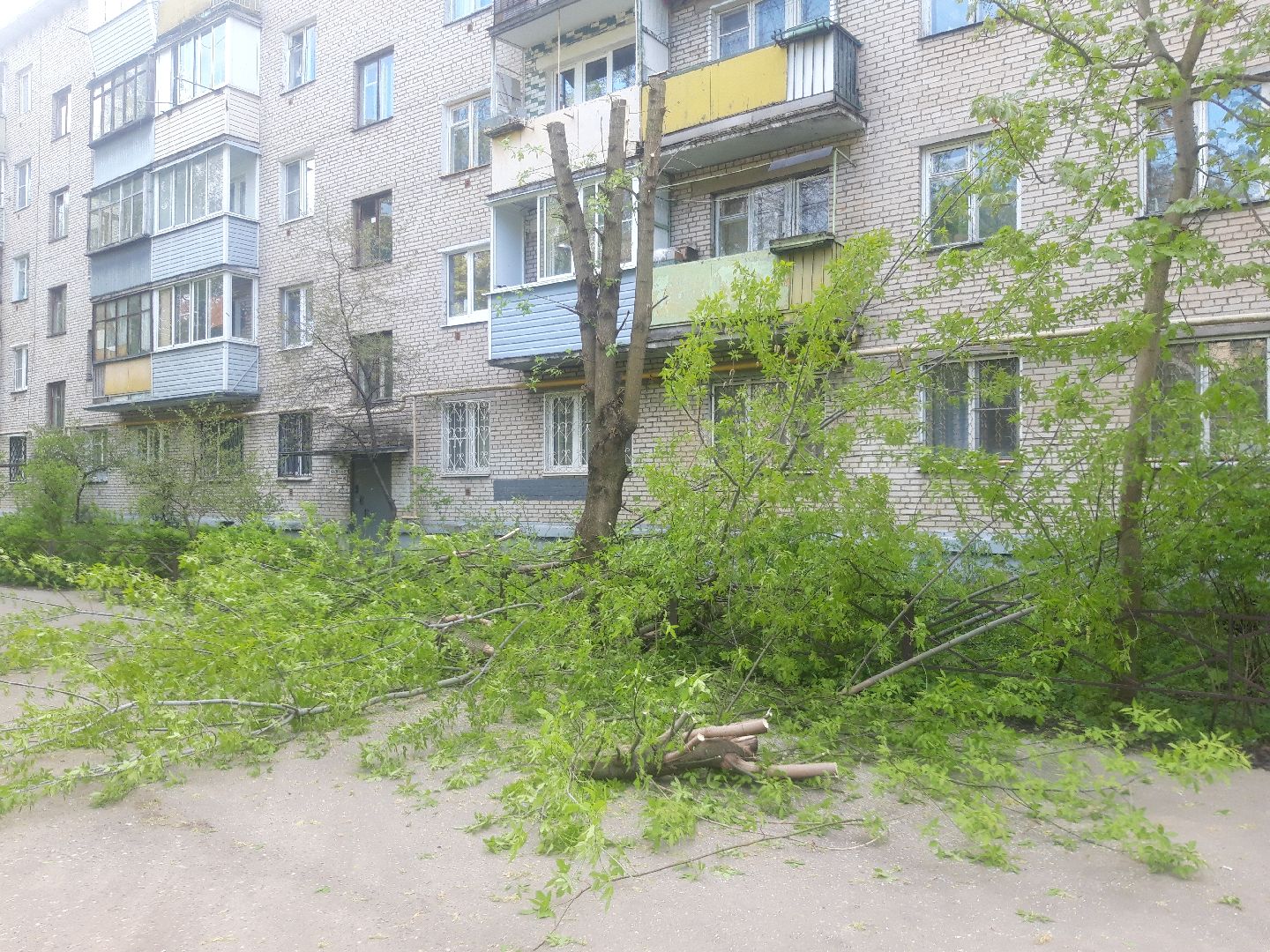 двор, доброе дело,