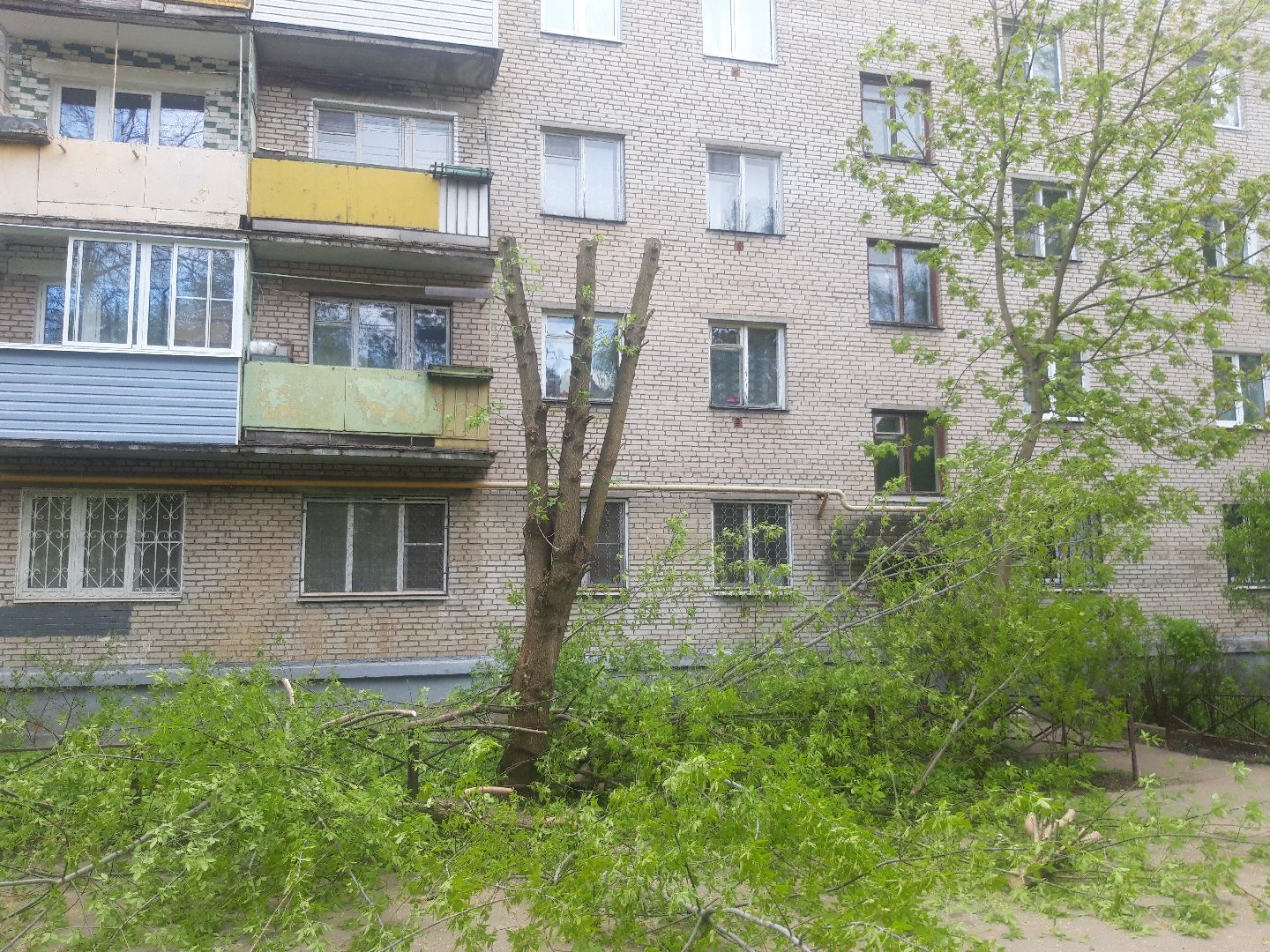 двор, доброе дело,