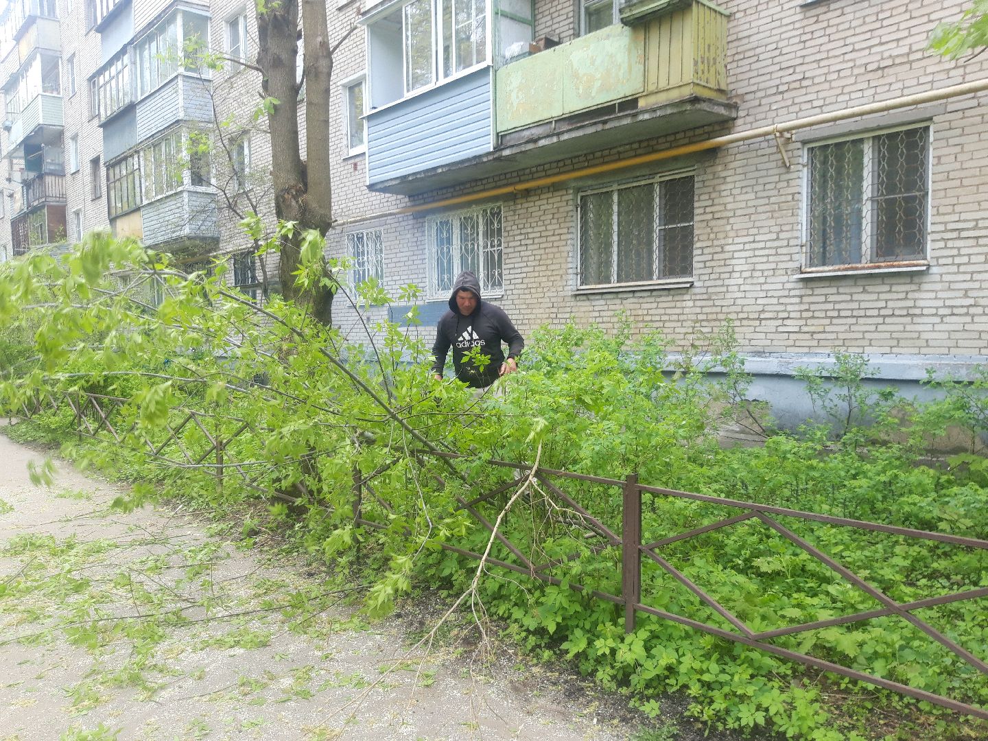 двор, доброе дело,