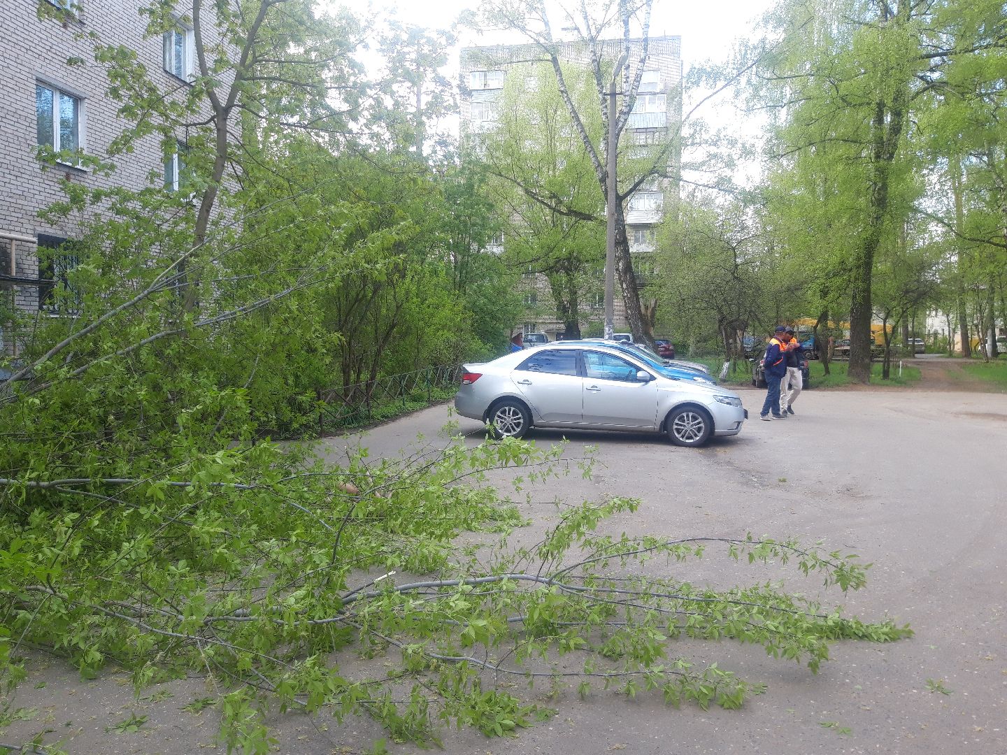 двор, доброе дело,