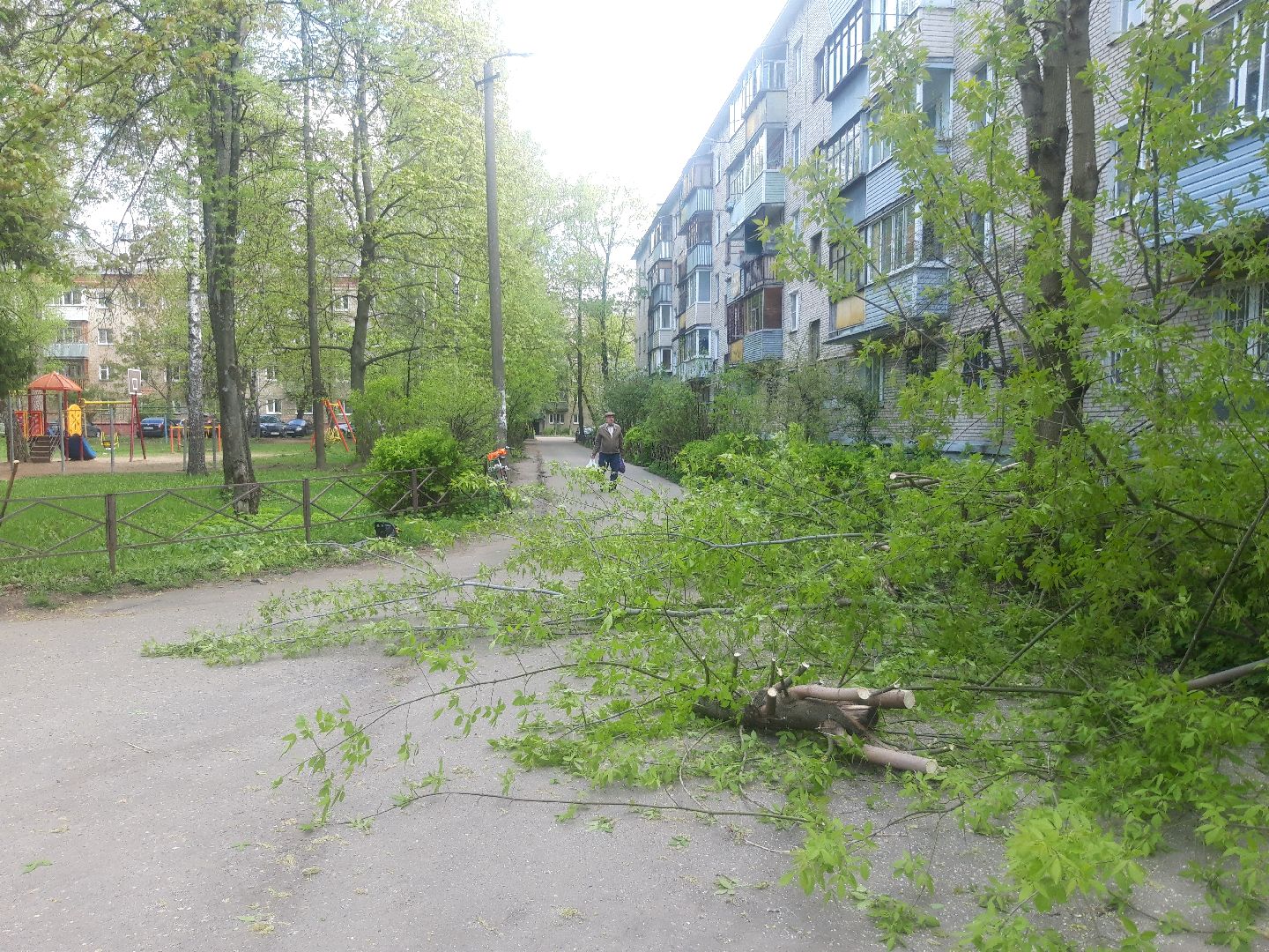 двор, доброе дело,