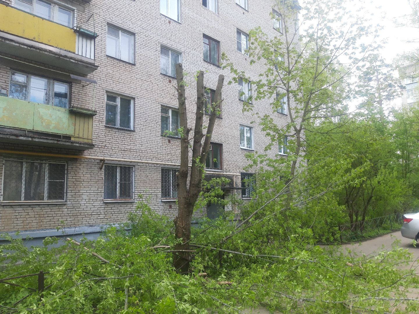 двор, доброе дело,