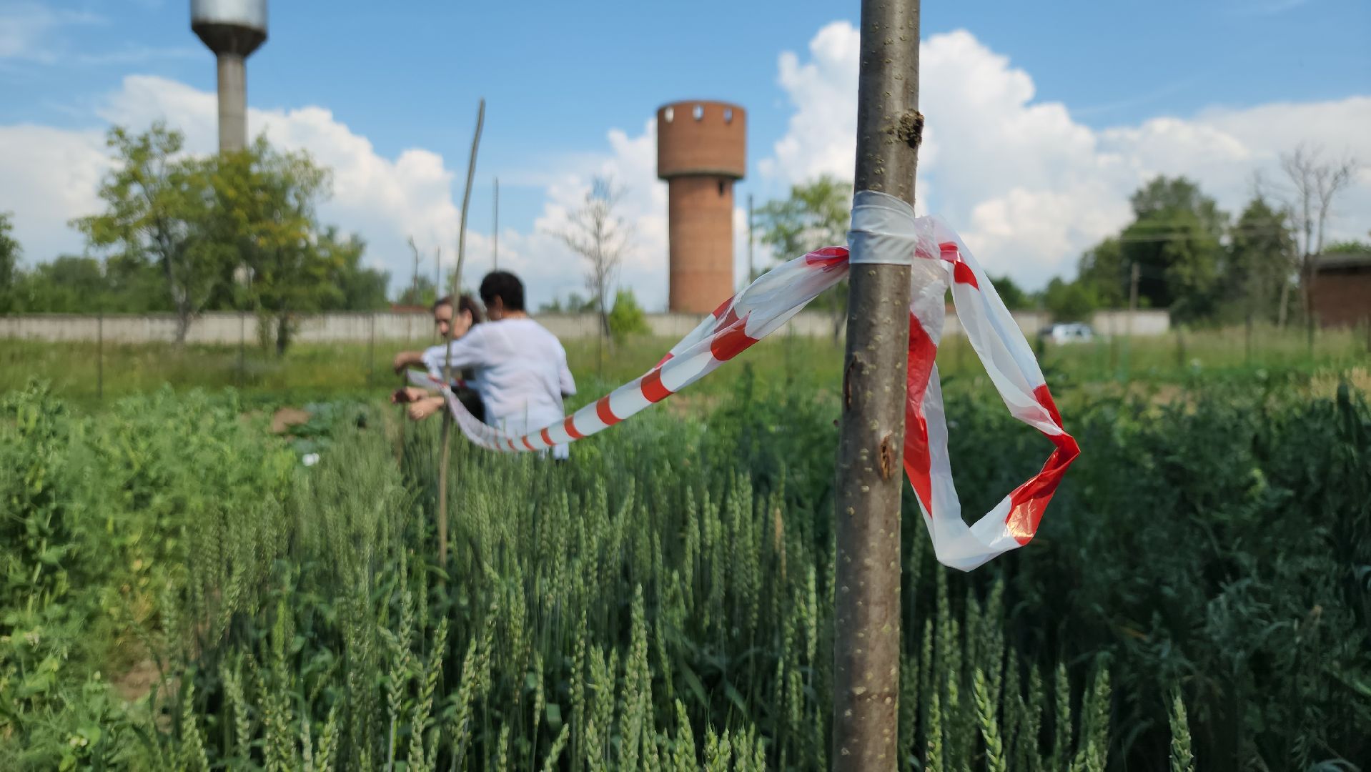 ступино, образование, агроклассы,