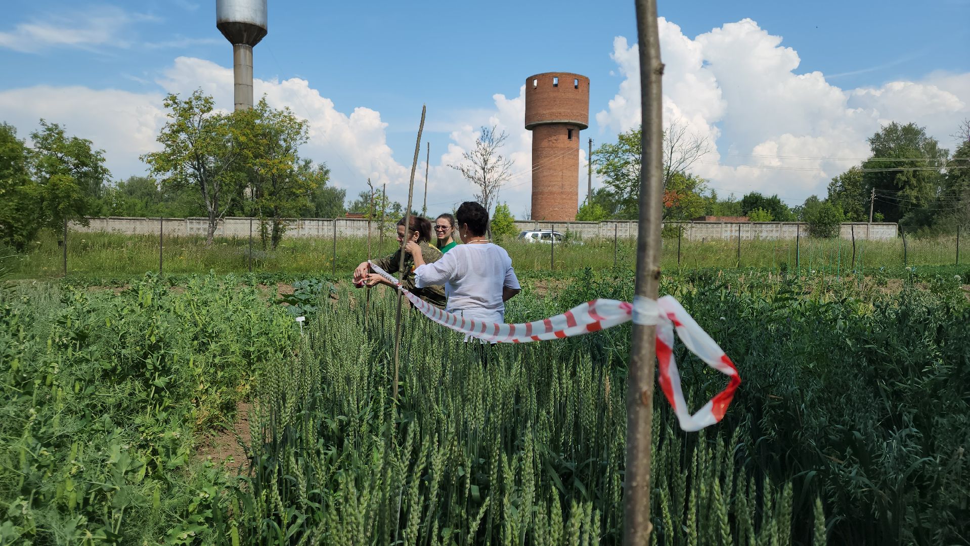 ступино, образование, агроклассы,