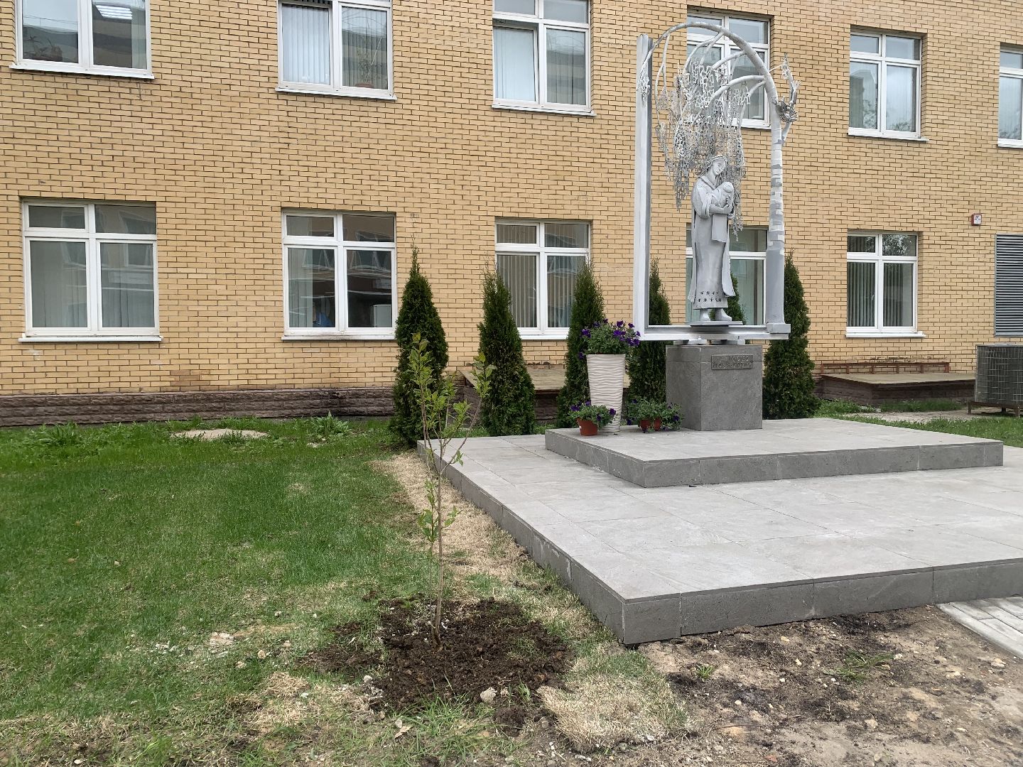 Медицина, семья, традиции, дети,