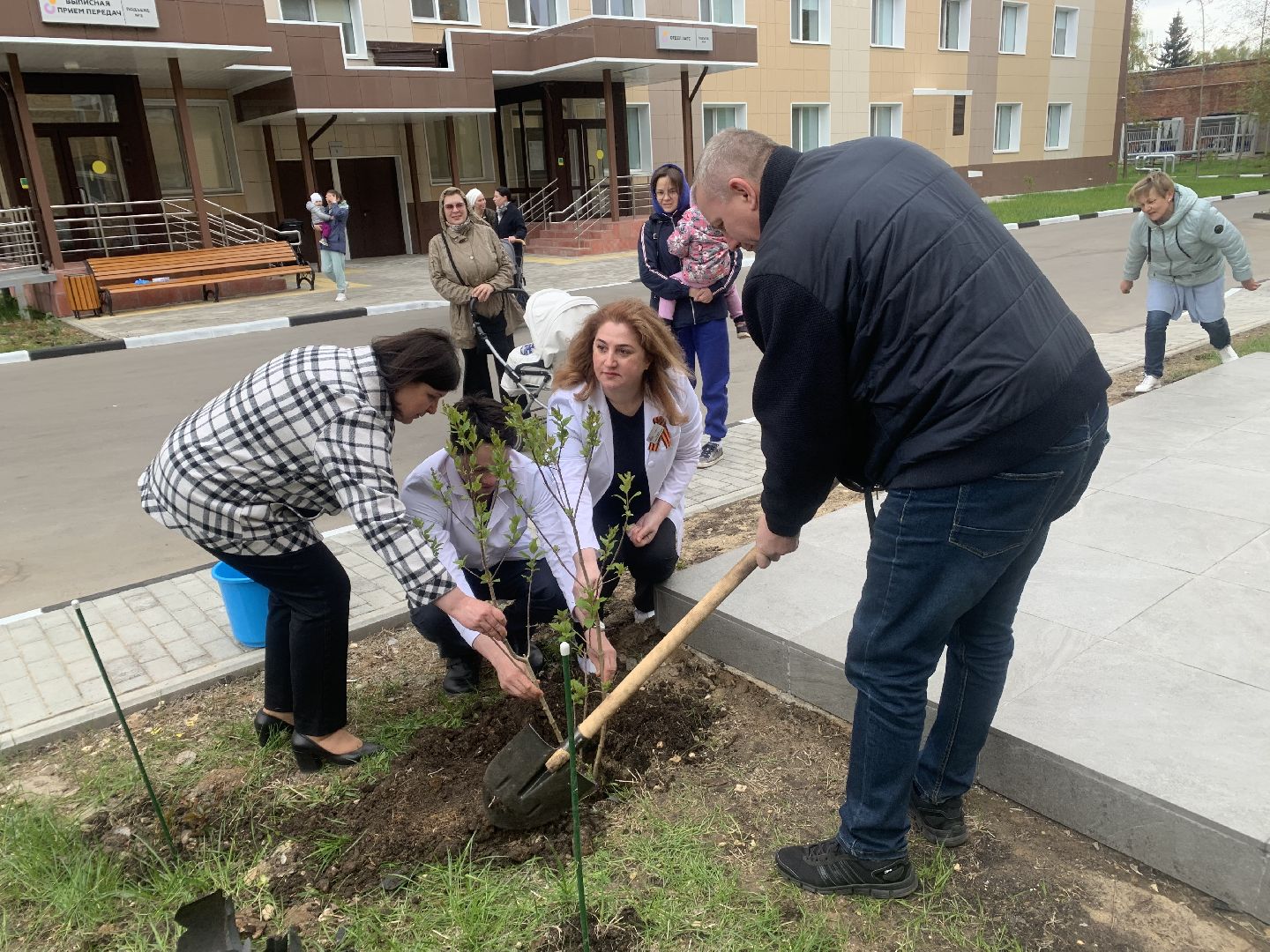 Медицина, семья, традиции, дети,