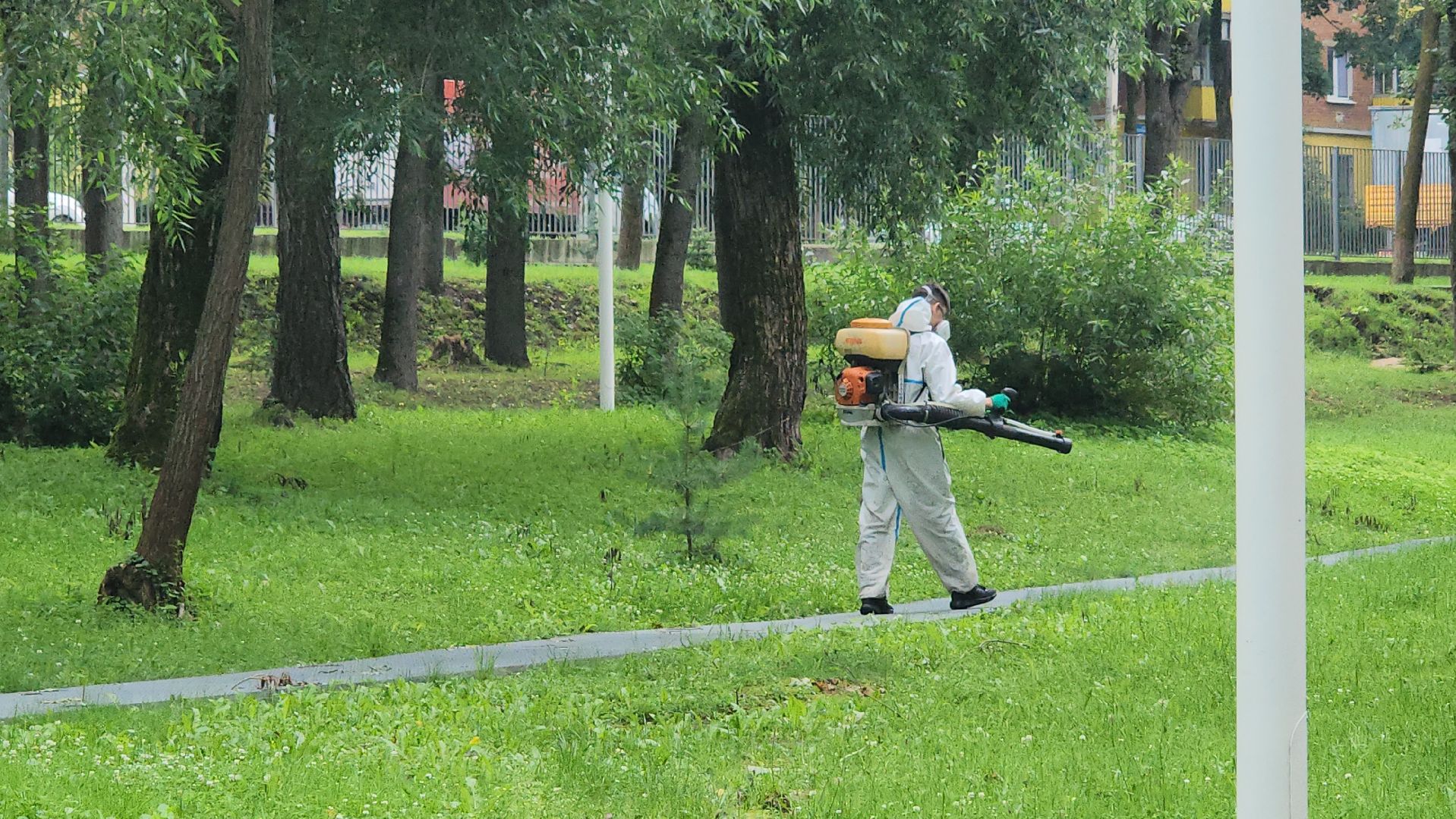 Истра, Парк, обработка от клещей, Клещи,