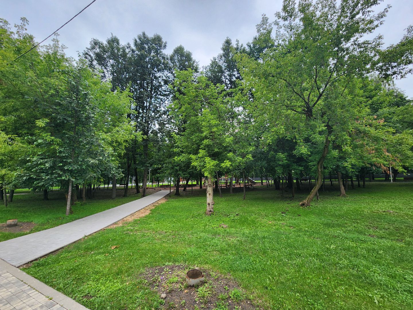 Истра, Парк, обработка от клещей, Клещи,