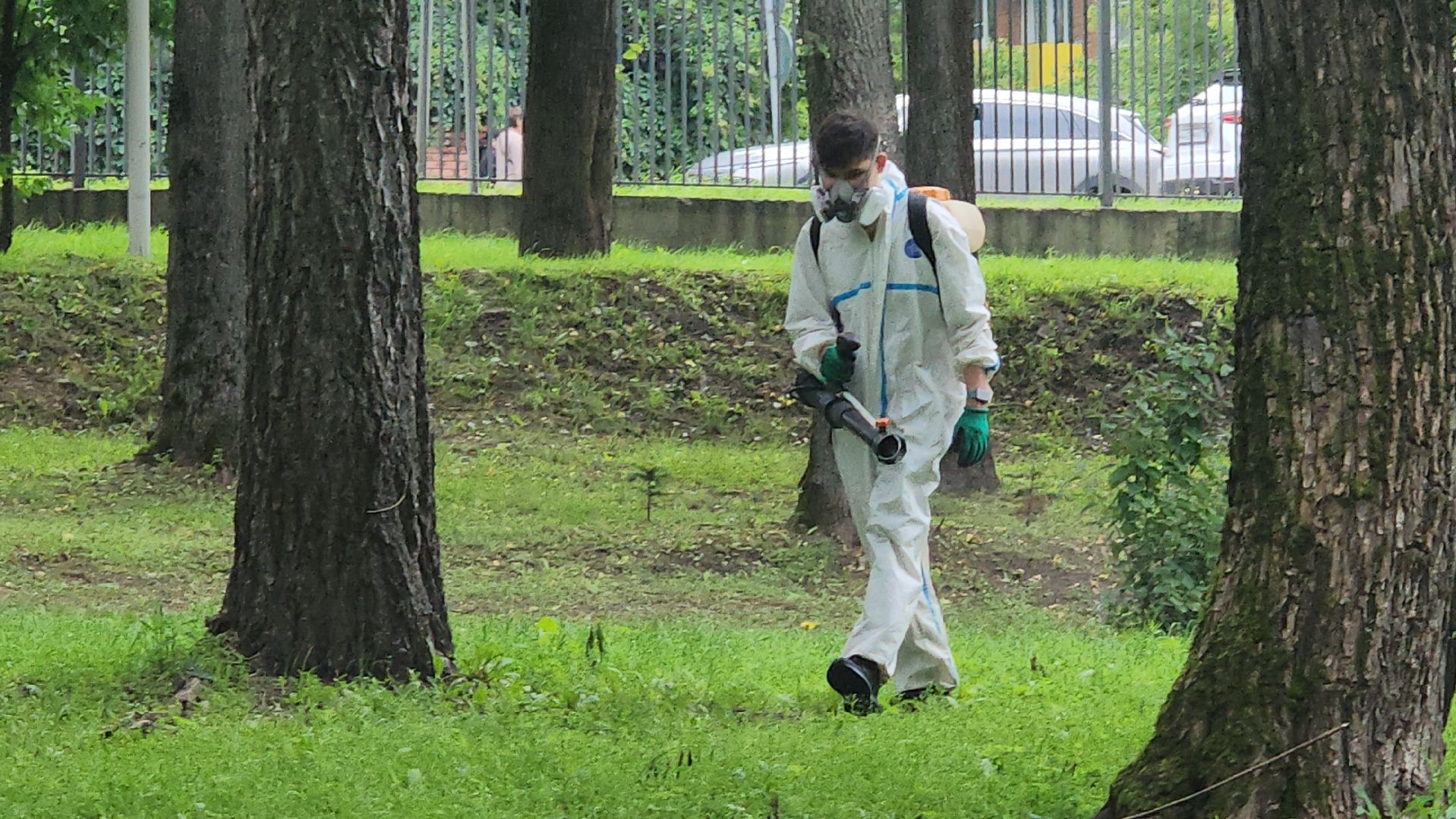 Истра, Парк, обработка от клещей, Клещи,