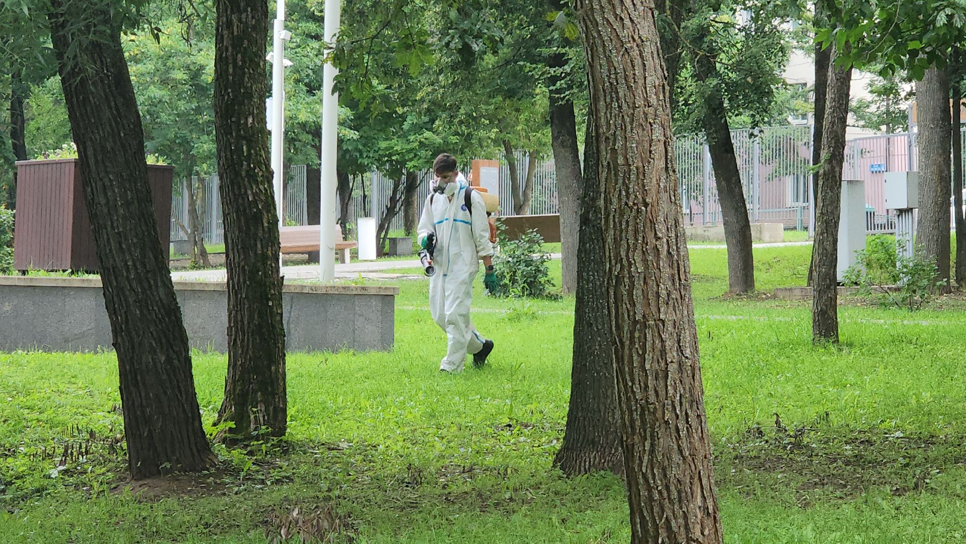 Истра, Парк, обработка от клещей, Клещи,