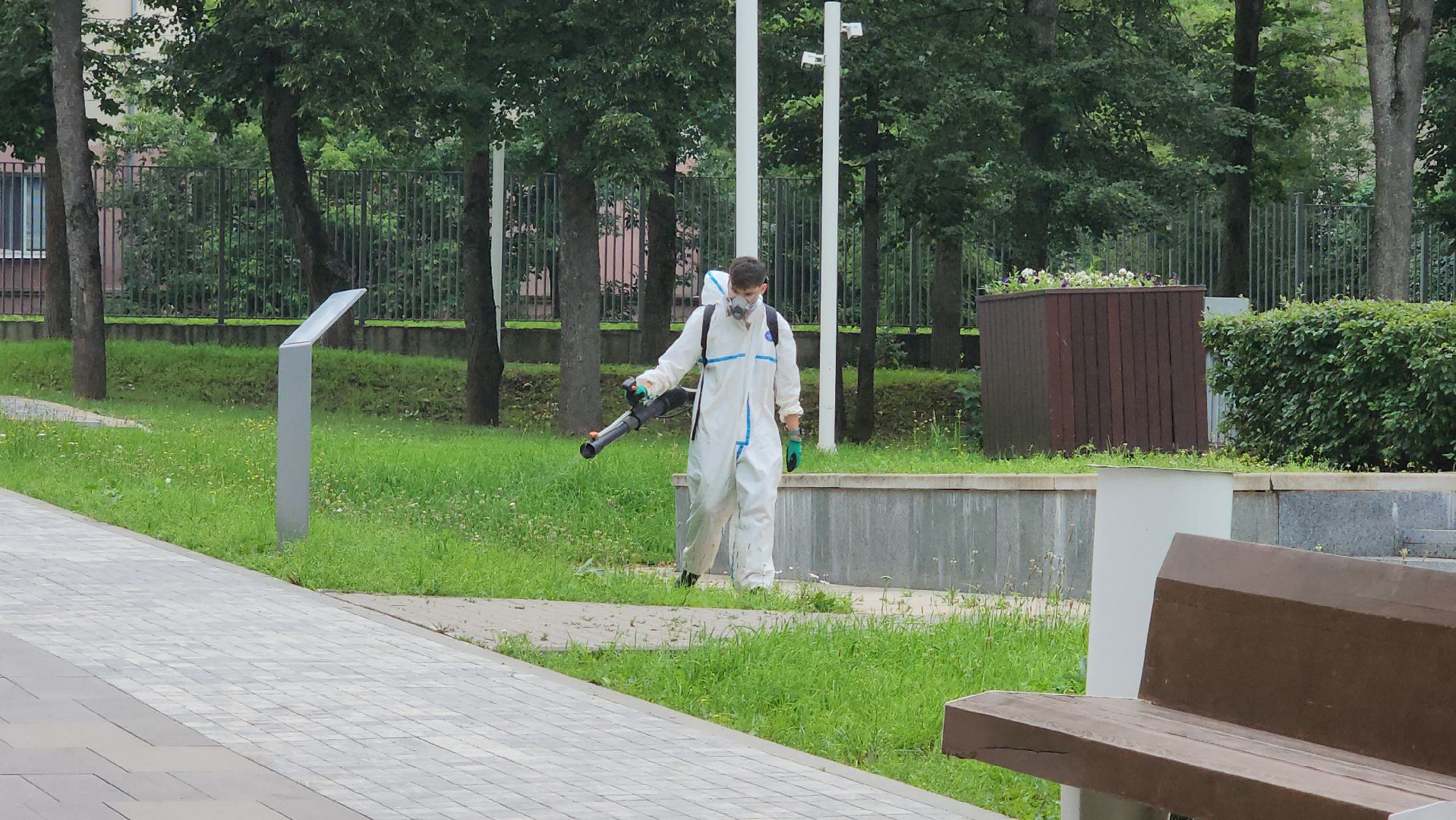 Истра, Парк, обработка от клещей, Клещи,