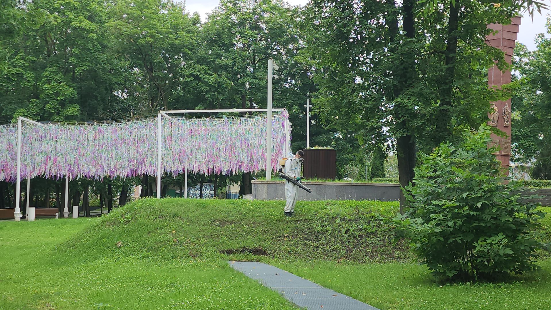 Истра, Парк, обработка от клещей, Клещи,