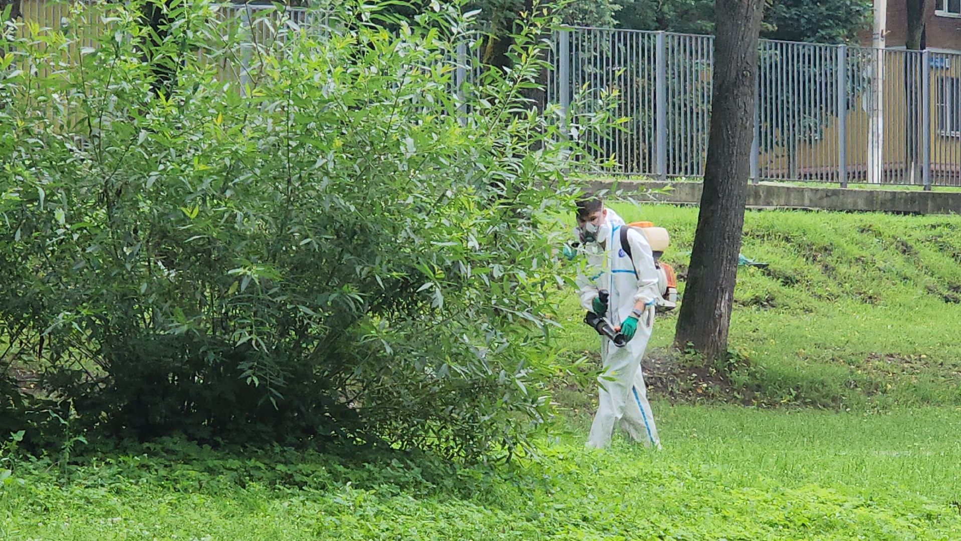 Истра, Парк, обработка от клещей, Клещи,