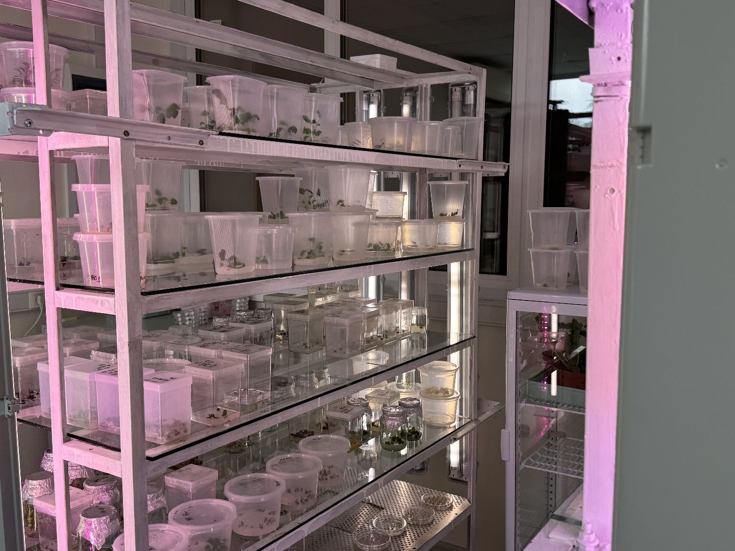 ФНЦО ВНИИСОК, Грибовская станция, Одинцово, Молодые учные,