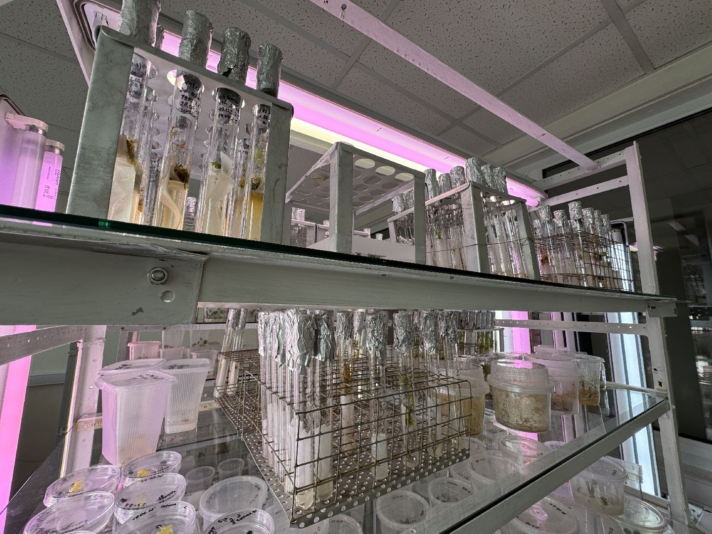 ФНЦО ВНИИСОК, Грибовская станция, Одинцово, Молодые учные,