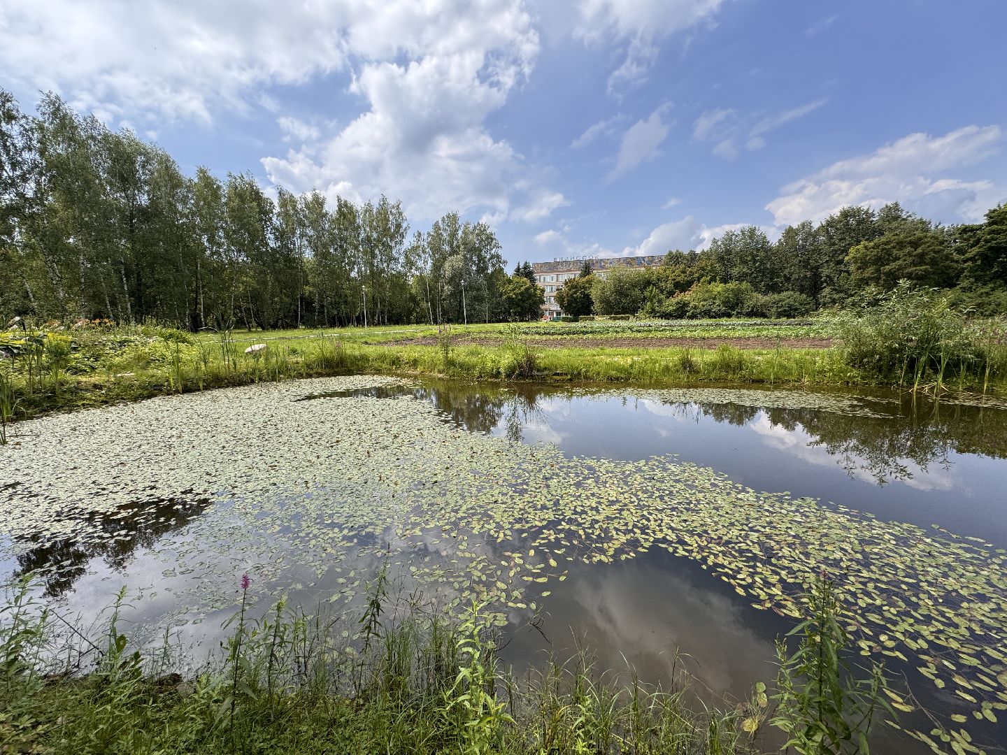 ФНЦО ВНИИСОК, Грибовская станция, Одинцово, Молодые учные,