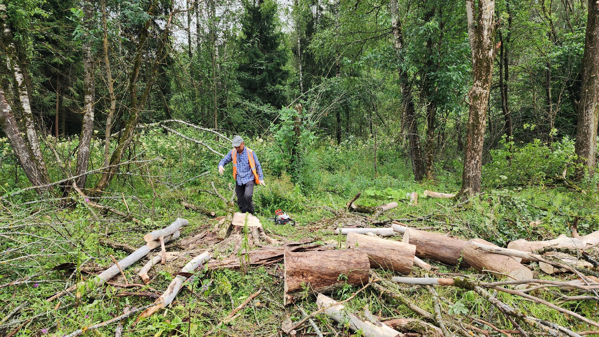 истра, дороги, расчистка,