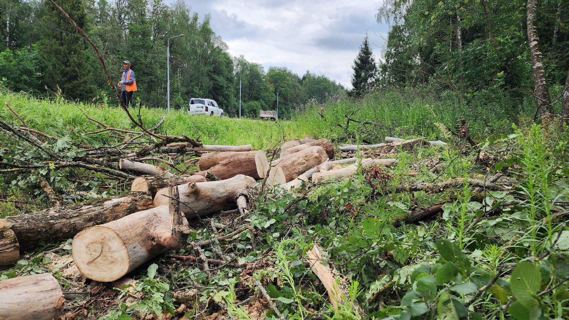 истра, дороги, расчистка,