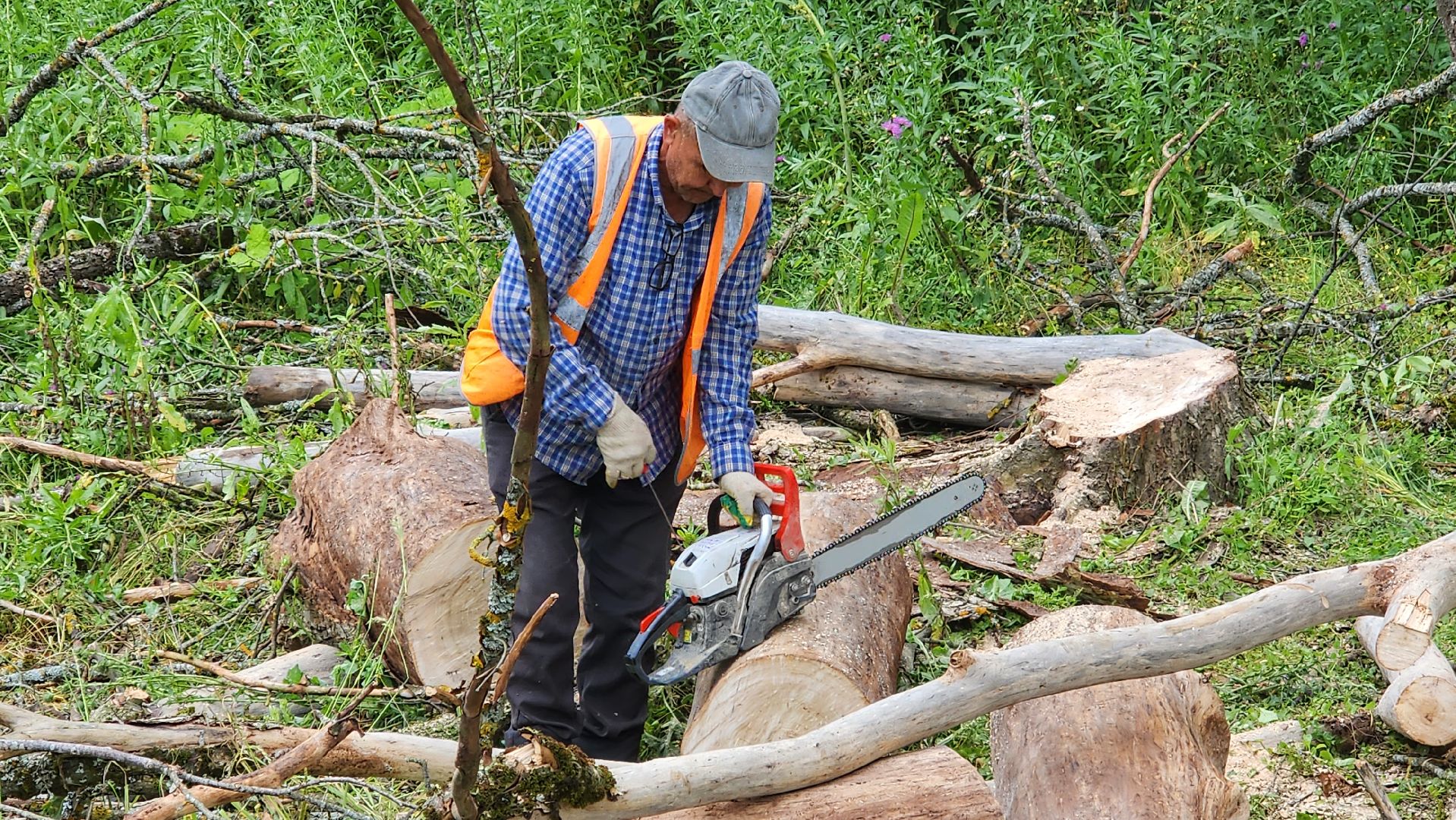 истра, дороги, расчистка,