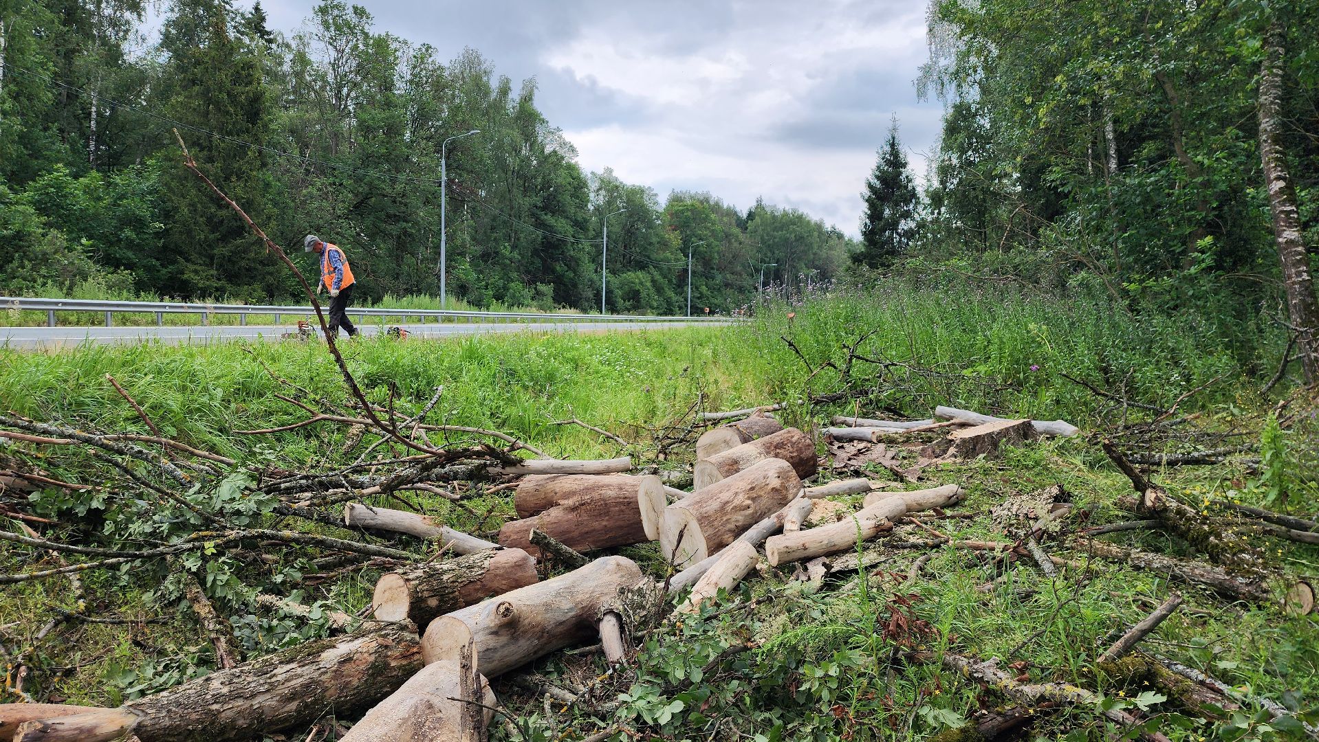 истра, дороги, расчистка,