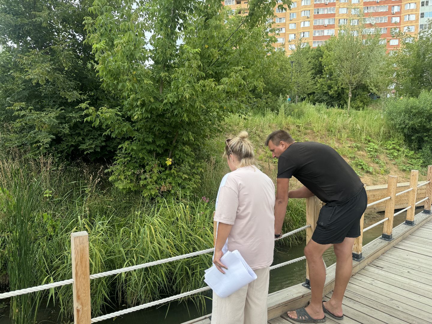 малый тарычевский пруд, ленинский городской округ, благоустойство, высадка растений,