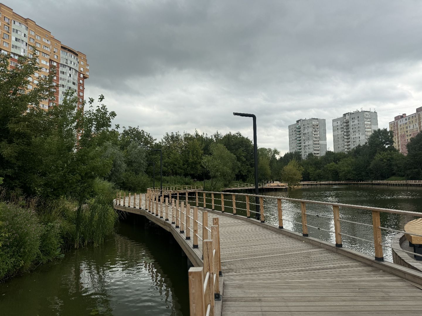 малый тарычевский пруд, ленинский городской округ, благоустойство, высадка растений,