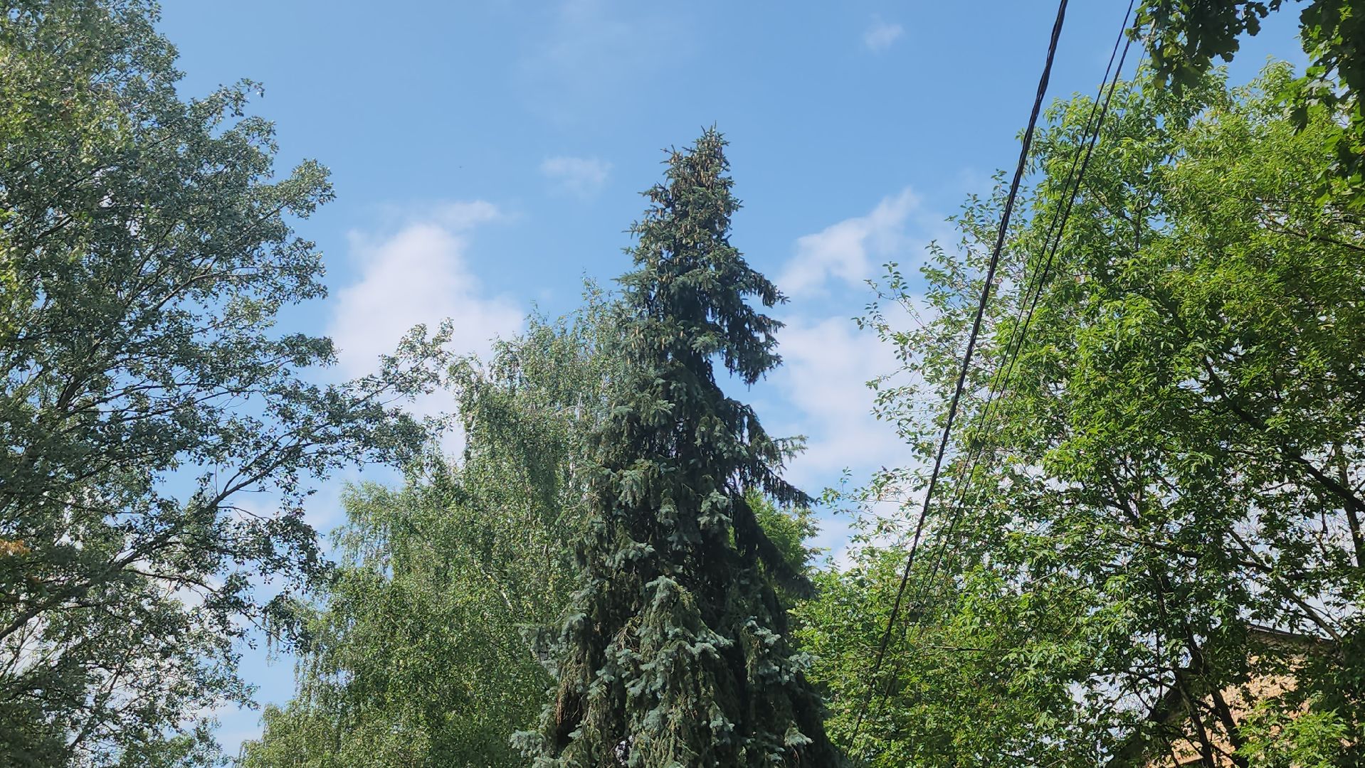 щёлково, мемориал воина великой отечественной войны, реконструкция памятника,