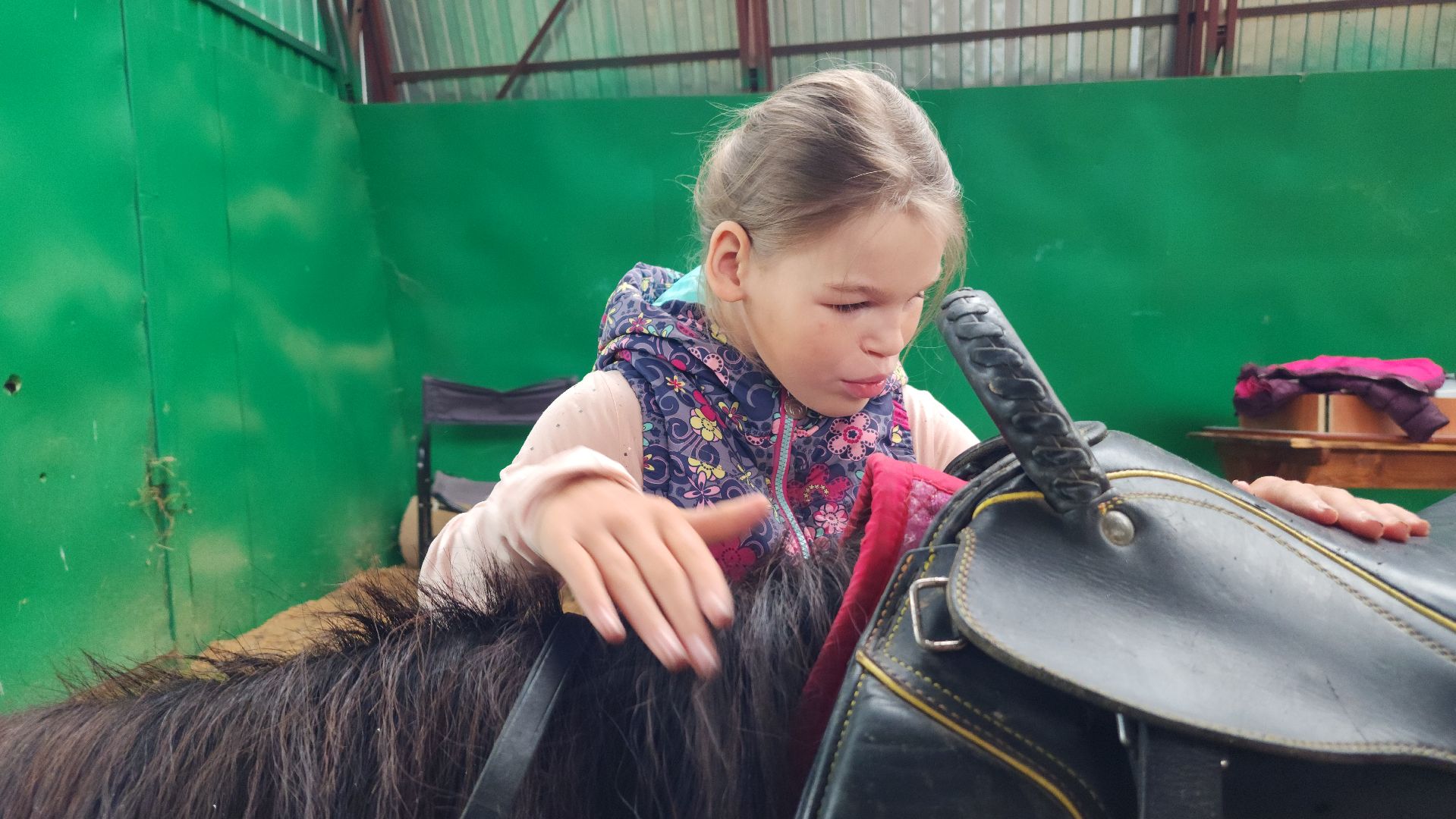 волоколамск, опекунство, приемные дети, лошади,
